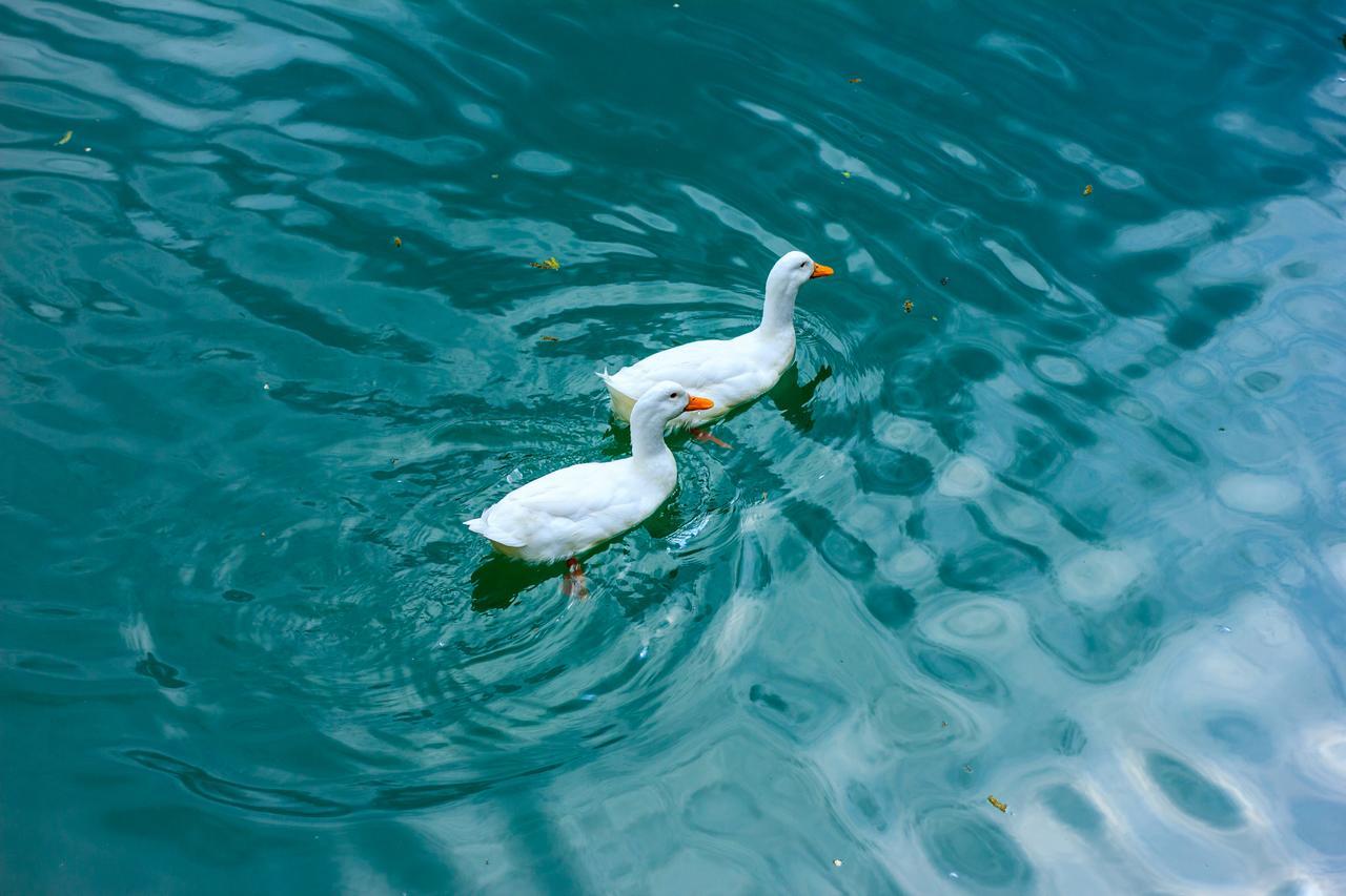 Amiran's Lake Hotel Tbilisi Bagian luar foto