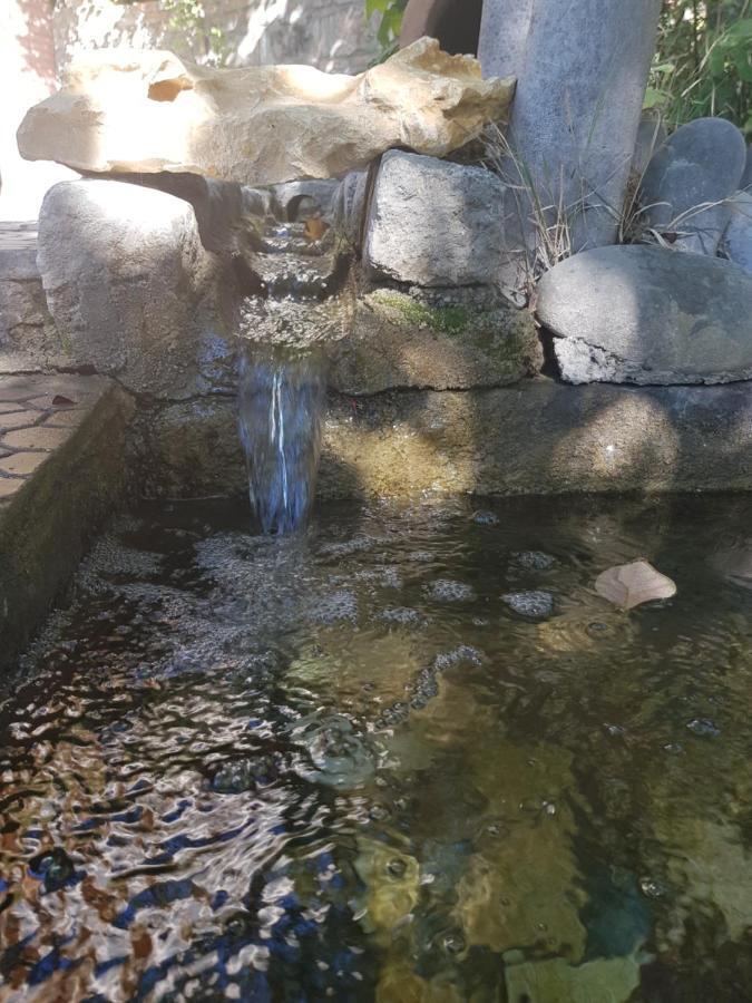 Amiran's Lake Hotel Tbilisi Bagian luar foto